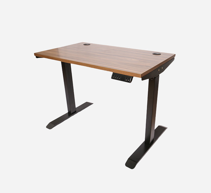 Ergonomic Standing Desk Lite