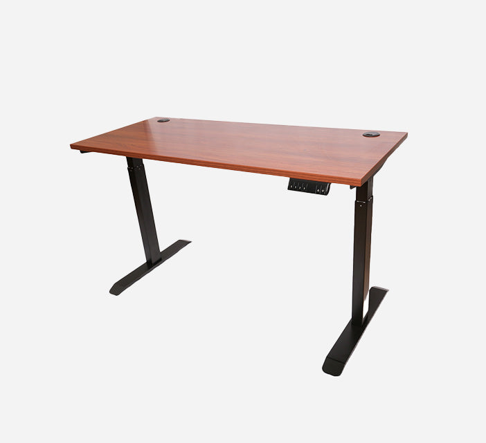 Ergonomic Standing Desk Lite