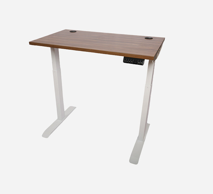 Ergonomic Standing Desk Lite
