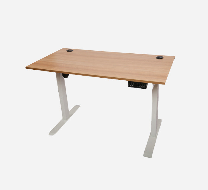 Ergonomic Standing Desk Lite