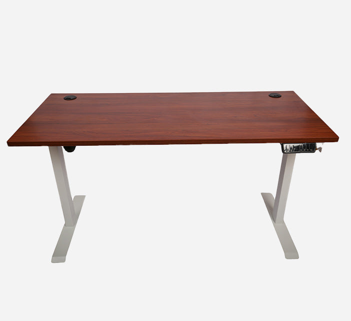 Ergonomic Standing Desk Lite