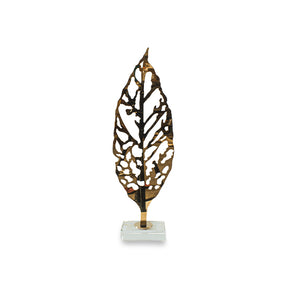 Arrow Wood Leaves Urban Lifestyle