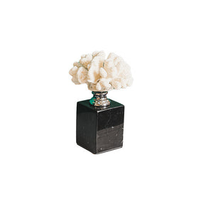 Coral Black Marble Urban Lifestyle
