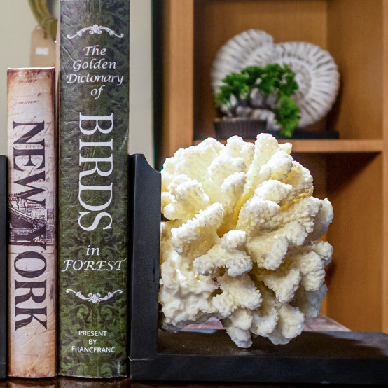 Coral Bookend Wood Metal