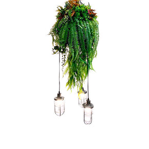 Boxwood Hanging Plant with Light Urban Lifestyle