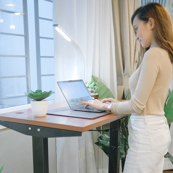 Ergonomic Standing Desk Pro