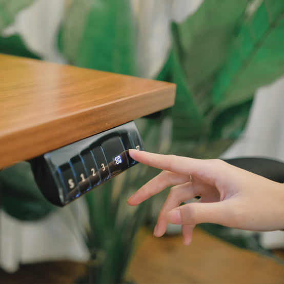 Ergonomic Standing Desk Lite