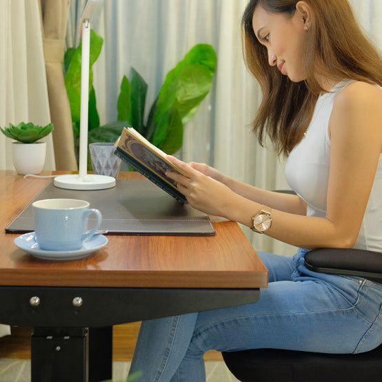 Ergonomic Standing Desk Lite