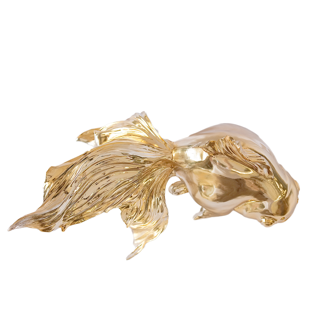 Goldie Gold Fish