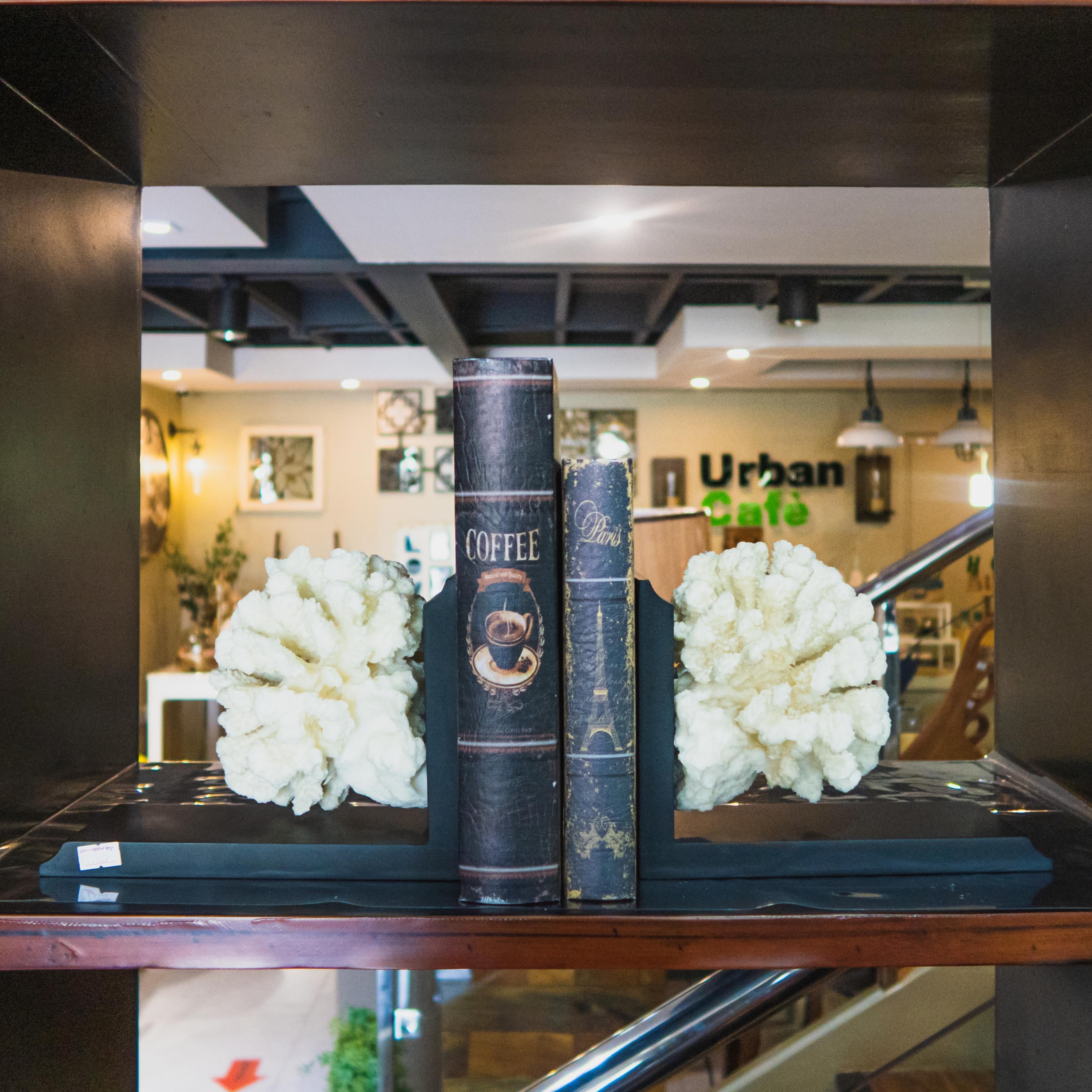 Coral Bookend Wood Metal