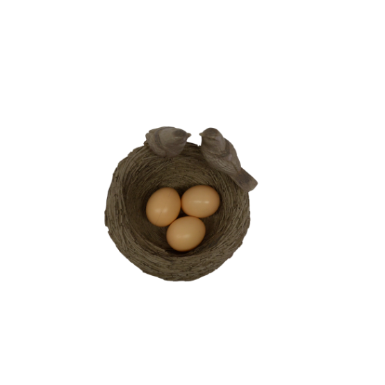 Nest With Egg Brown