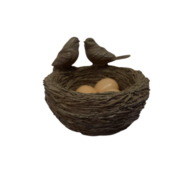 Nest With Egg Brown