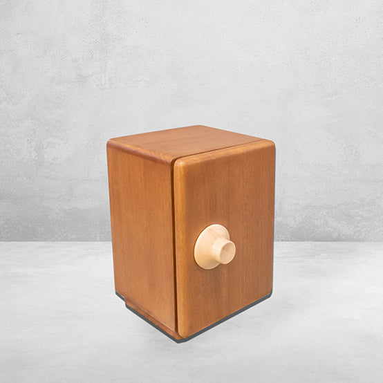 SAFETY BOX MINI CABINET
